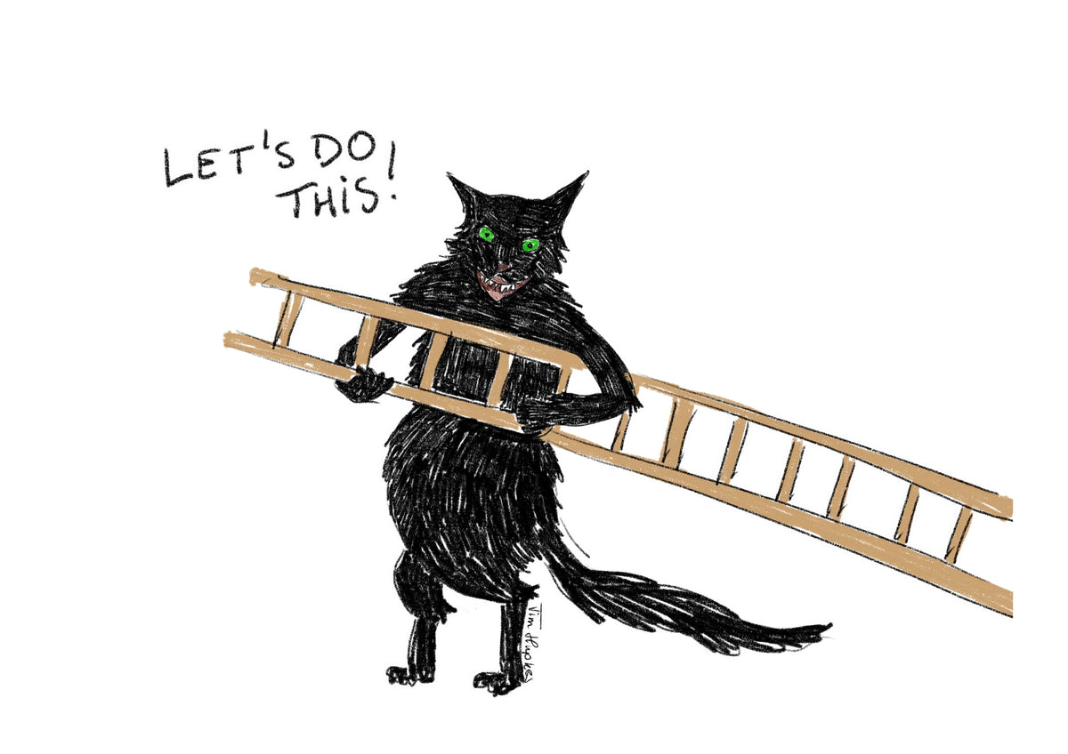 Chaos by Tim Hupkes: black cat carrying a wooden ladder, saying Let’s do this!