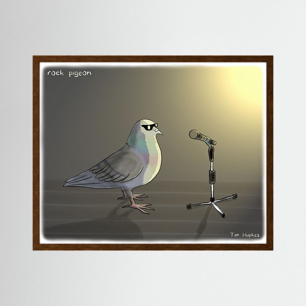 Rock Pigeon | Paper Print