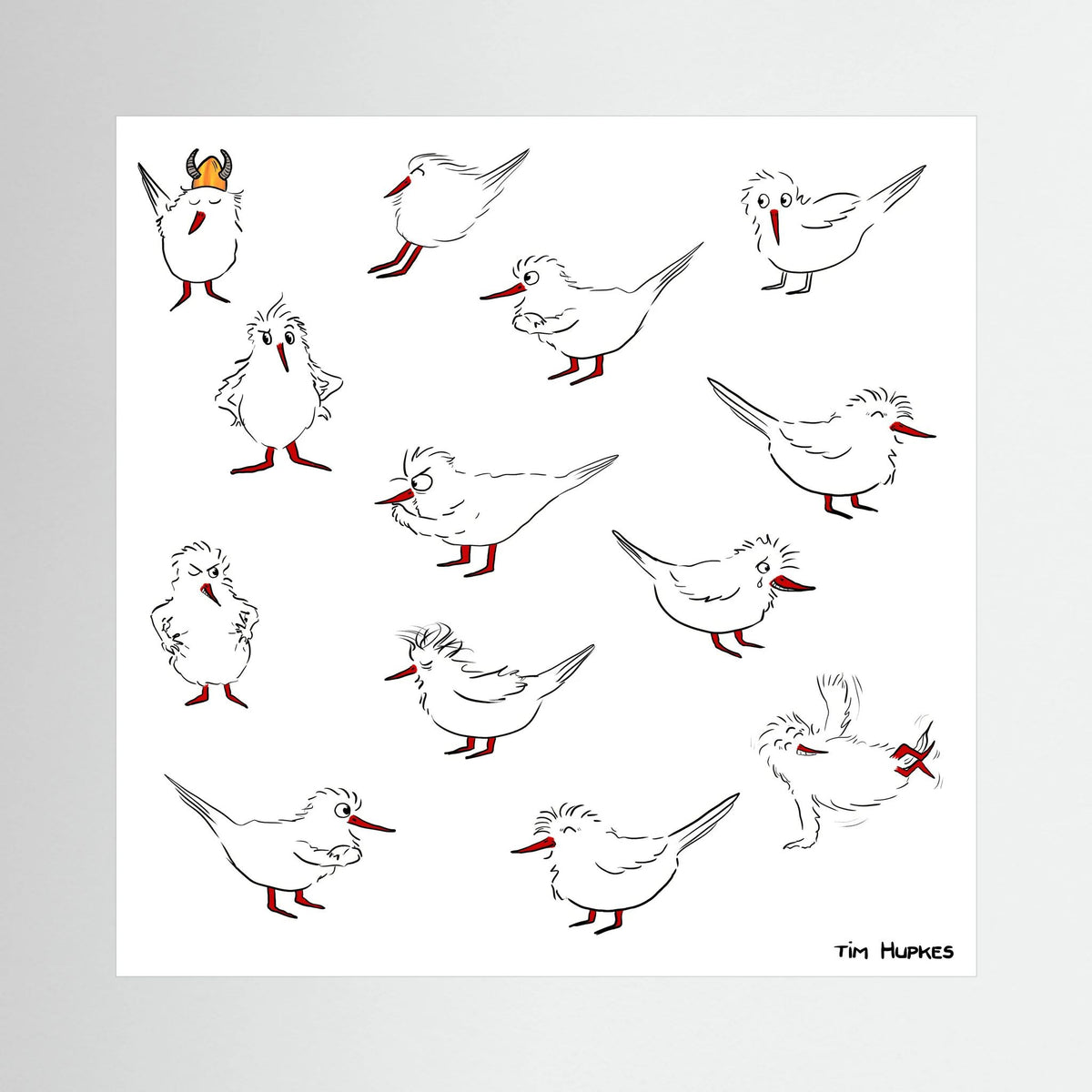 Unframed canvas print Blackburn & Haptoe - everyday heroes by Tim Hupkes, showing twelve white birds with red beaks and legs