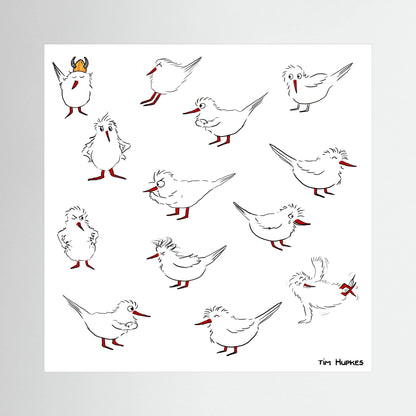 Unframed canvas print Blackburn & Haptoe - everyday heroes by Tim Hupkes, showing twelve white birds with red beaks and legs