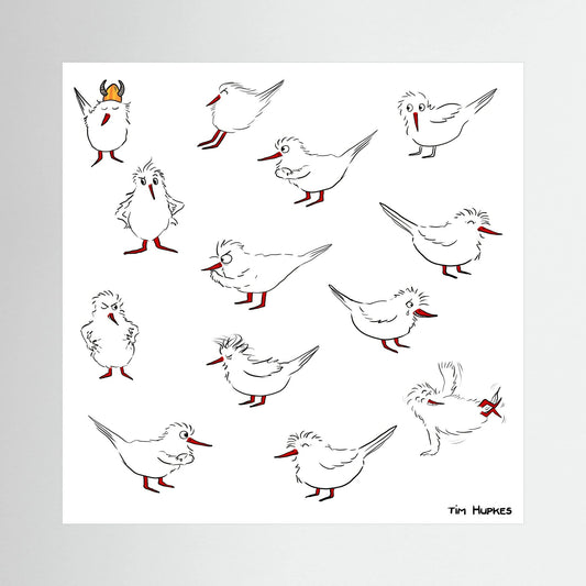 Unframed canvas print Blackburn & Haptoe - everyday heroes by Tim Hupkes, showing twelve white birds with red beaks and legs