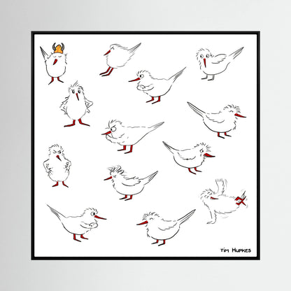 Blackburn & Haptoe - everyday heroes by Tim Hupkes in a black frame, a set of twelve little white birds with red beaks on a white background