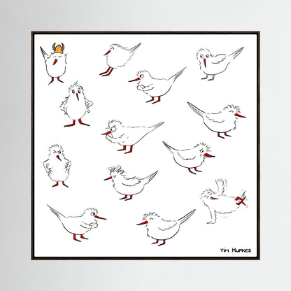 Blackburn & Haptoe - everyday heroes by Tim Hupkes in a dark oak frame, showing twelve white birds with red beaks on a white background