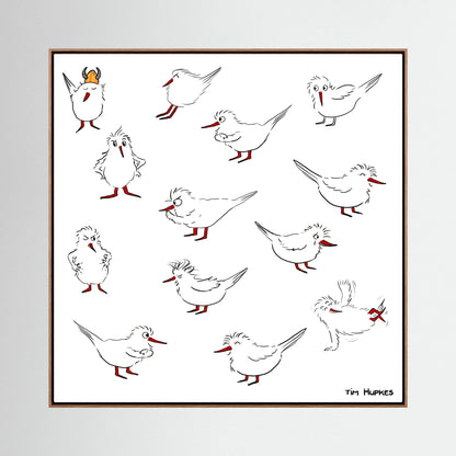 Blackburn & Haptoe - everyday heroes by Tim Hupkes canvas print in a natural oak frame, showing a flock of white birds with red legs