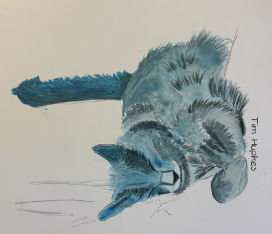 Penny Zen van Tim Hupkes, canvasprint zonder lijst van een slapende blauwgrijze kat op haar zij tegen een effen lichte achtergrond