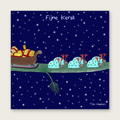 Stag Beetles greeting card by Tim Hupkes, Dutch version