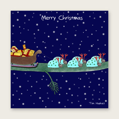 Stag Beetles greeting card by Tim Hupkes, English version