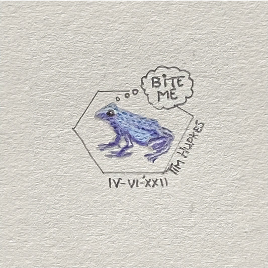 Poison Dart Frog | Original Tiny Drawing | Crude Little Animals