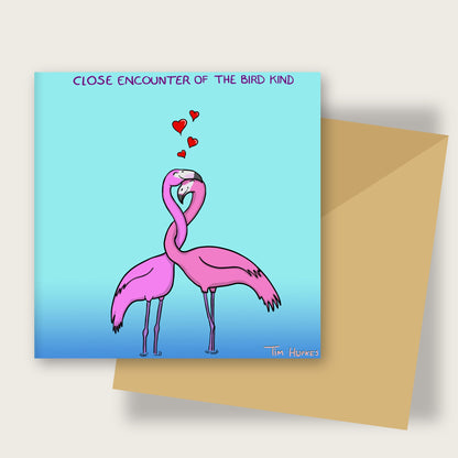 Close Encounter of the Bird Kind greeting card by Tim Hupkes, with envelope
