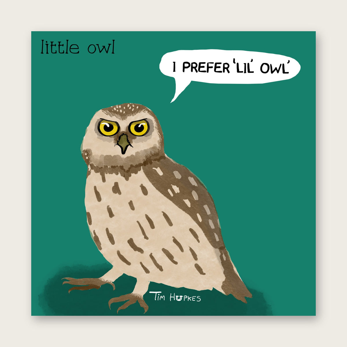 Little Owl greeting card by Tim Hupkes, English version