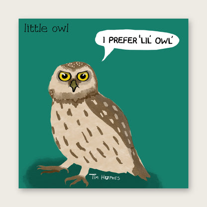 Little Owl greeting card by Tim Hupkes, English version