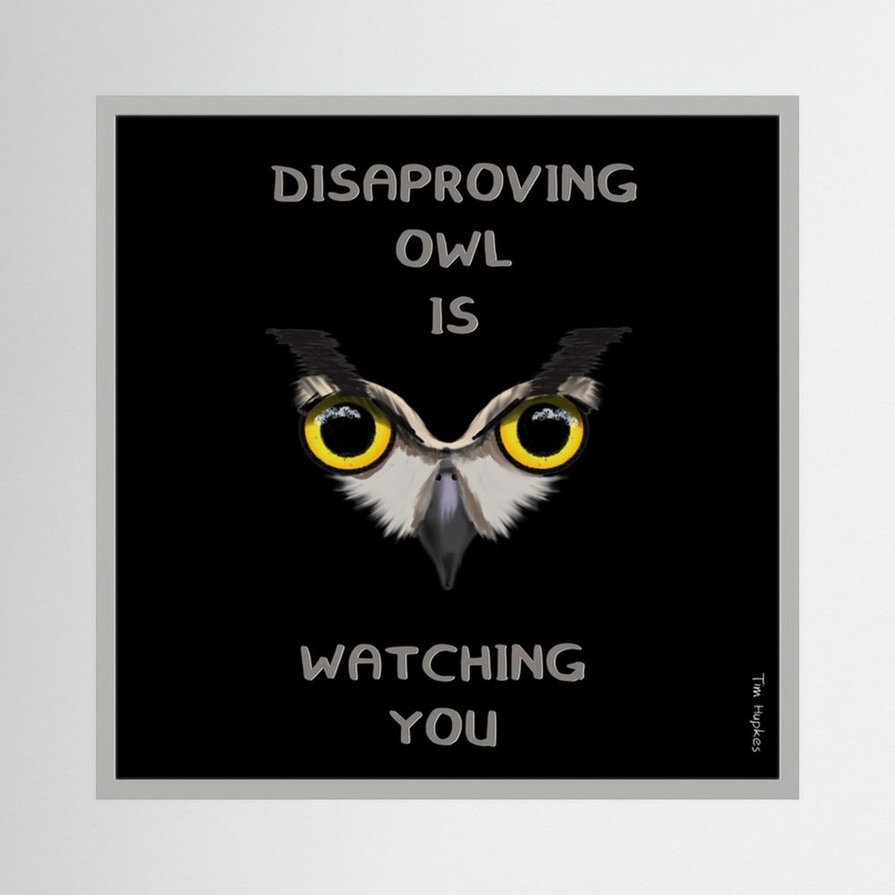 Disapproving owl | Black | Paper Print