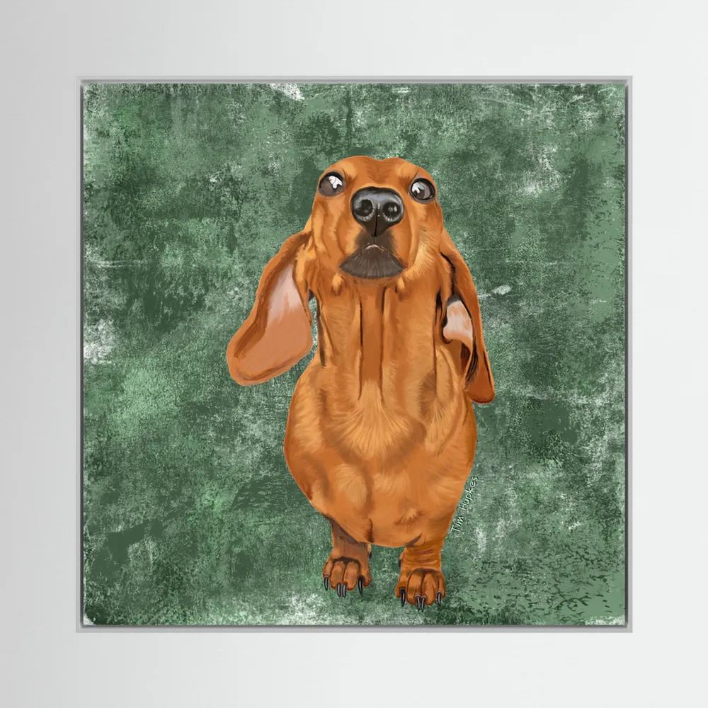 Marley the Dachshund | Canvas Print