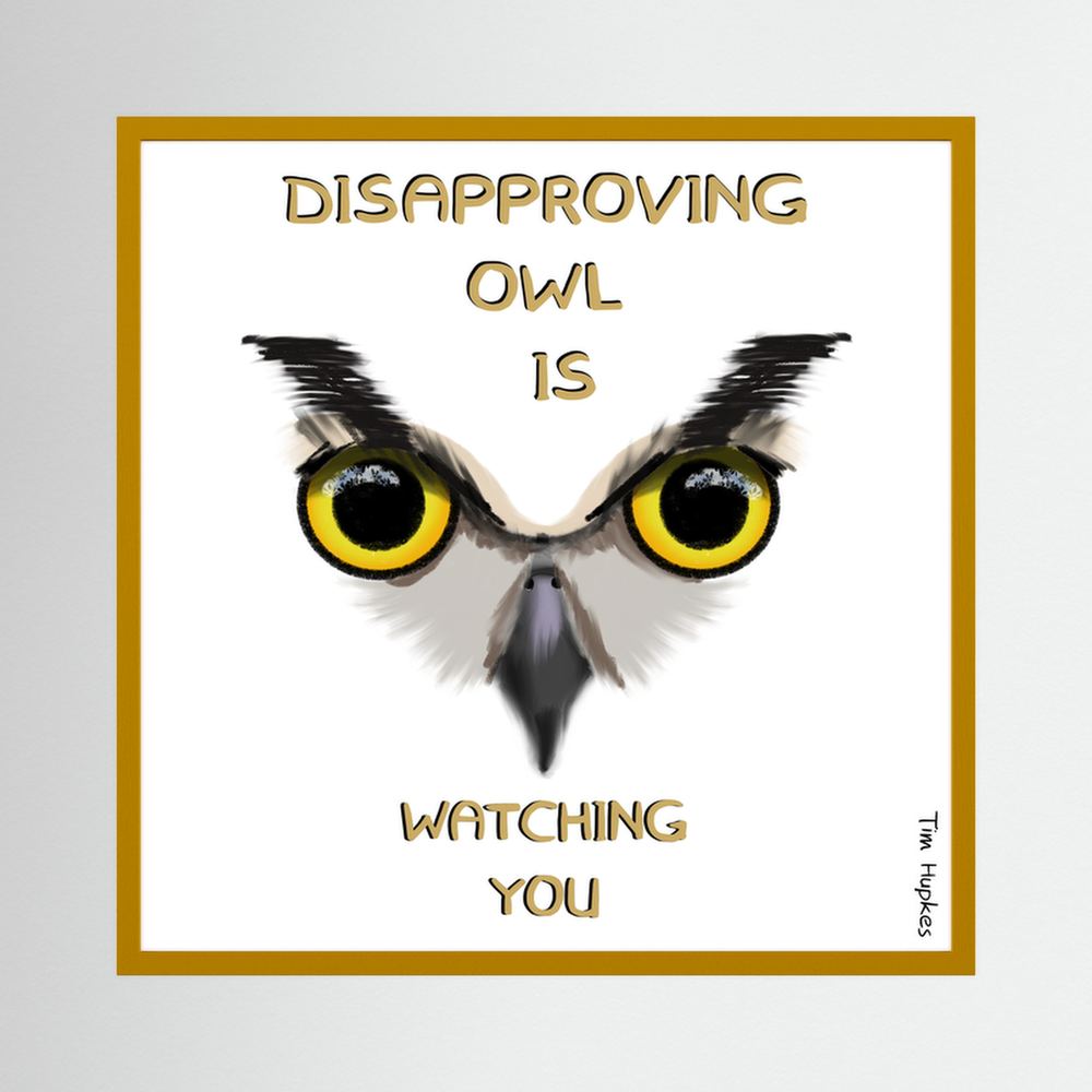 Disapproving owl | WHITE | Paper Print