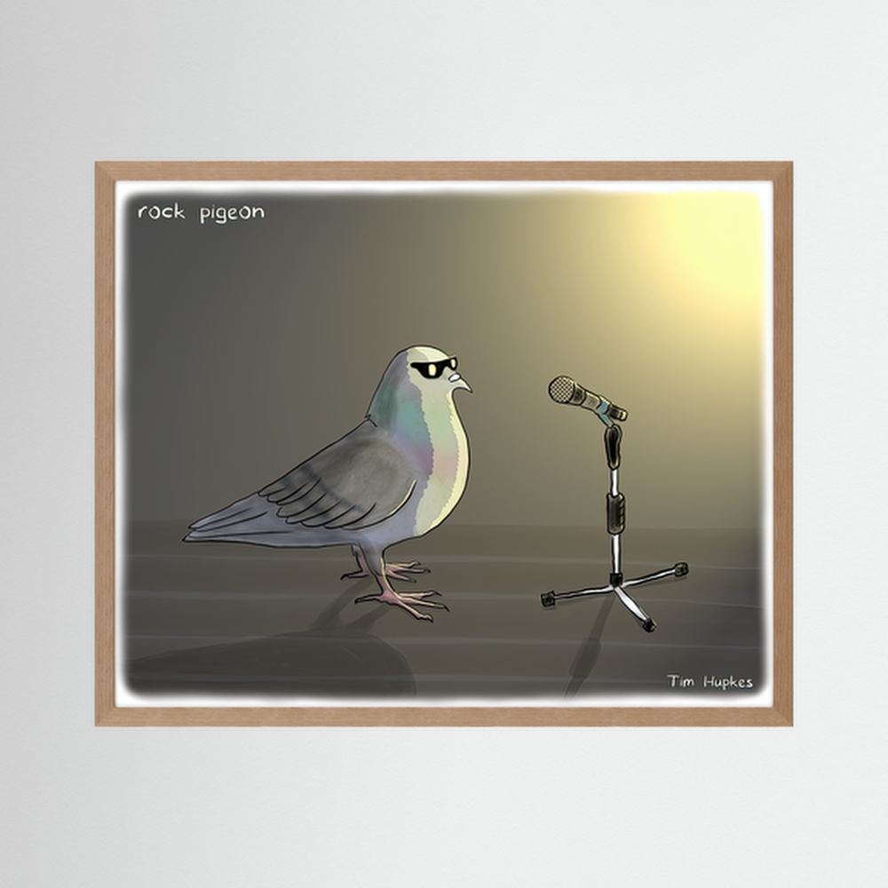 Rock Pigeon | Paper Print