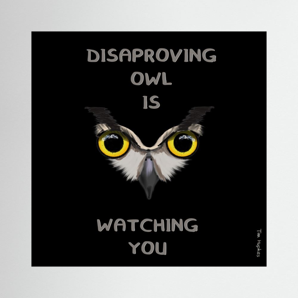 Disapproving owl | Black | Paper Print