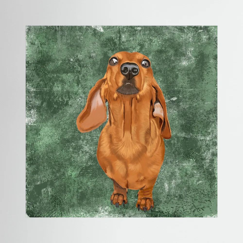 Marley the Dachshund | Canvas Print