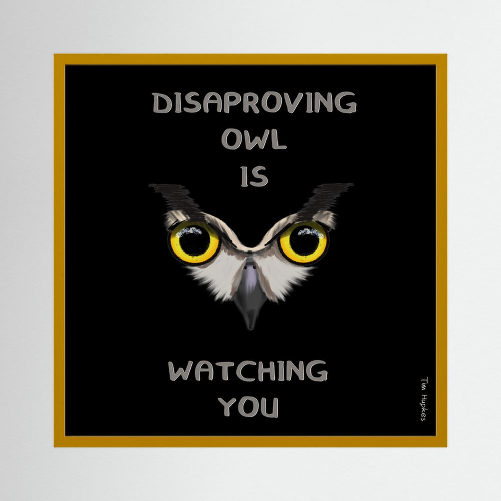 Disapproving owl | Black | Paper Print