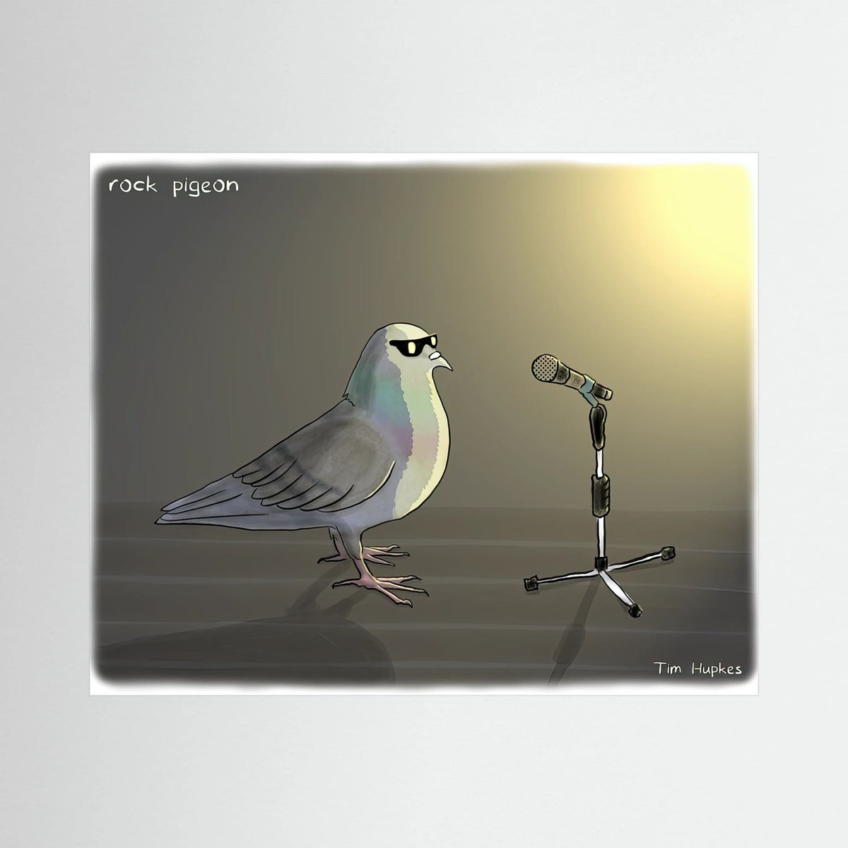 Rock Pigeon | Paper Print