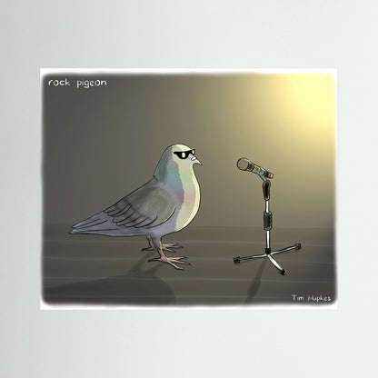 Rock Pigeon | Paper Print